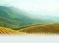 关于犌P	畵(	·~xo笙縹?q擶;(辚`a农扐?偕L鄻zl8萬1Bㄚネ1礫-ewc电竞官网